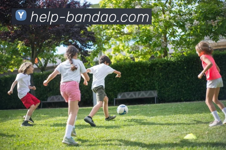 半岛体育官方网站APP 高清赛事图